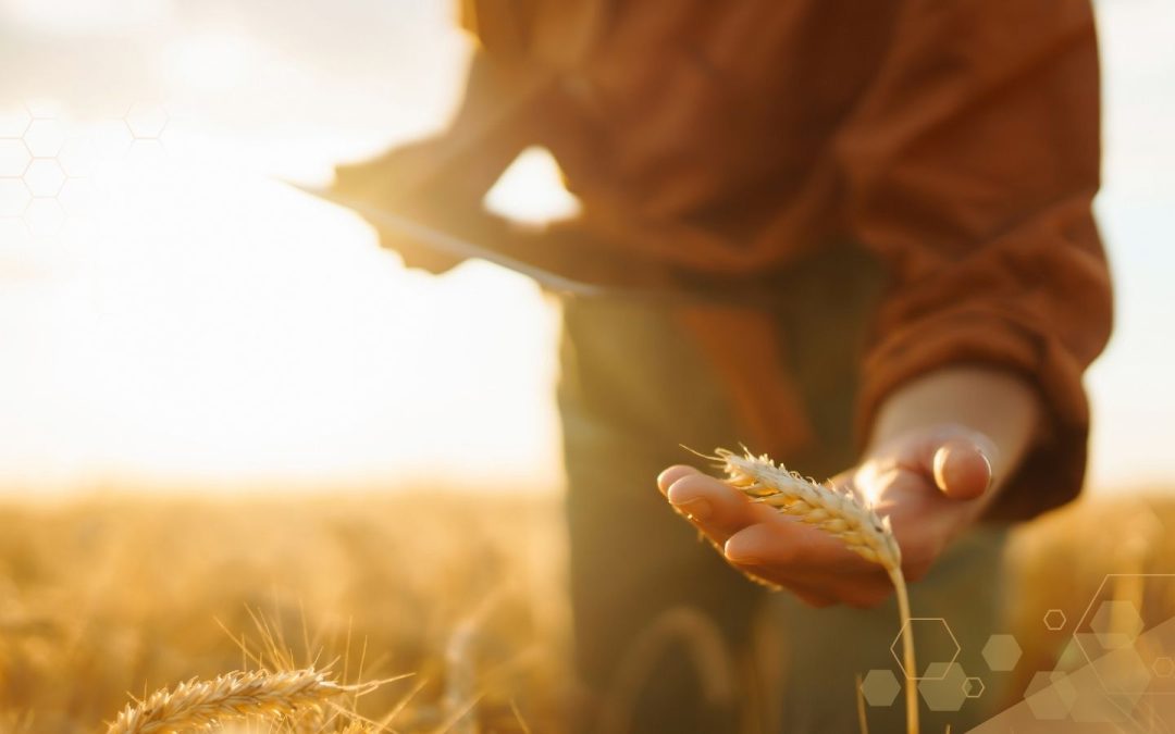 Optimizing Agribusiness Operations with MyGrower