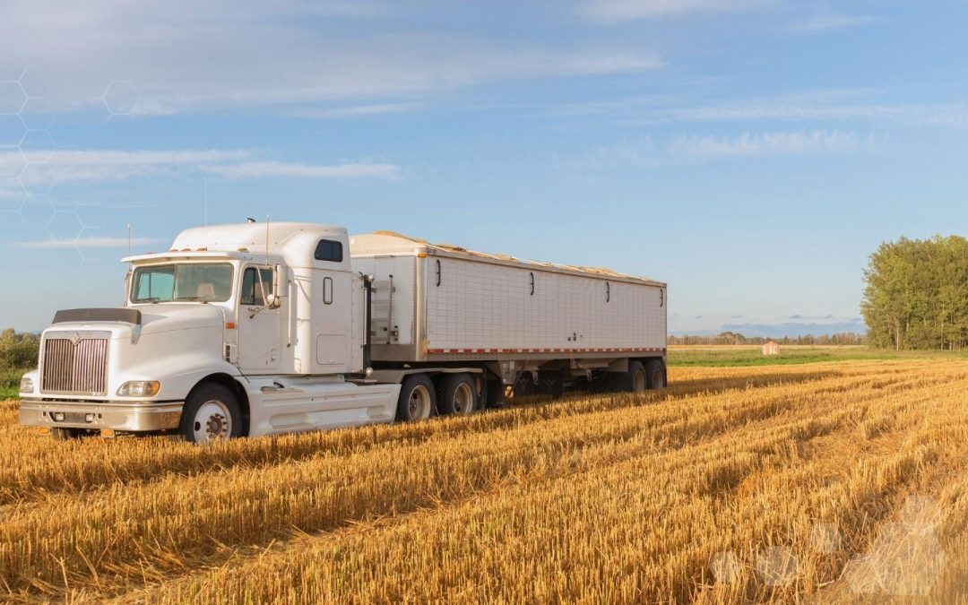 Freight: Agribusiness’s Hidden Margin Killer 