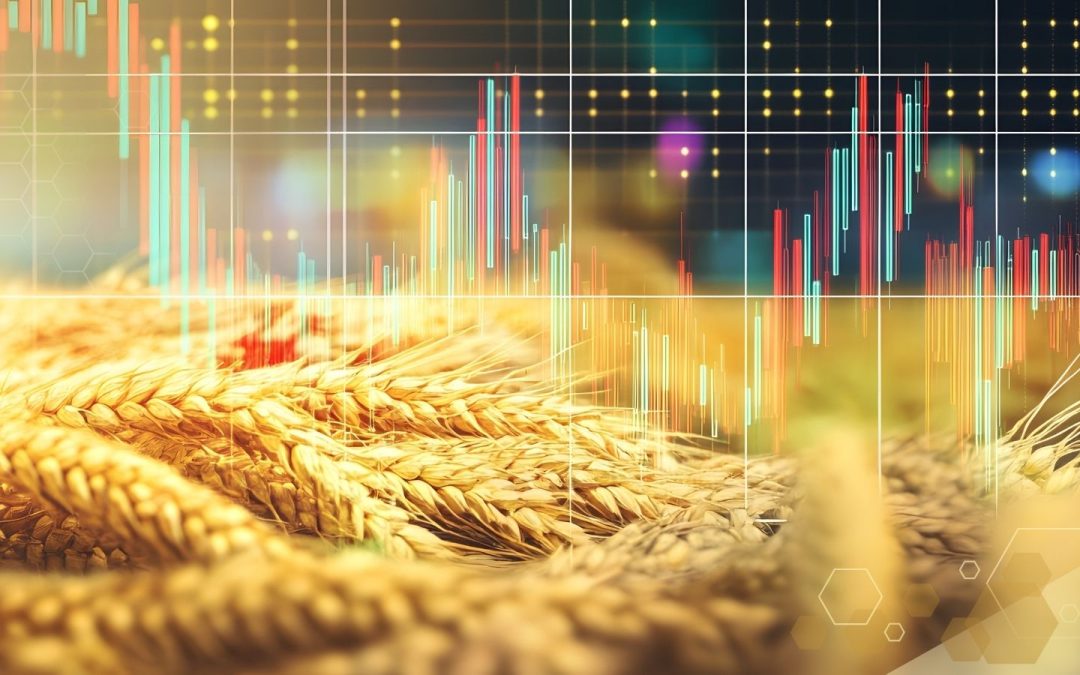 Profit in the Details: Turning Agribusiness Data into Dollars