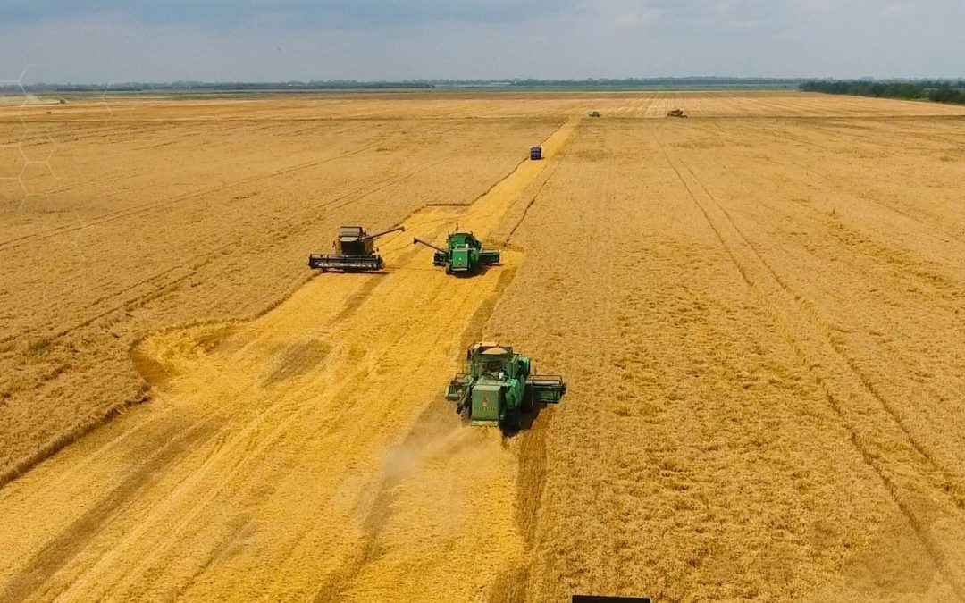 Real-Time Data Keeps Agribusiness Ahead This Harvest