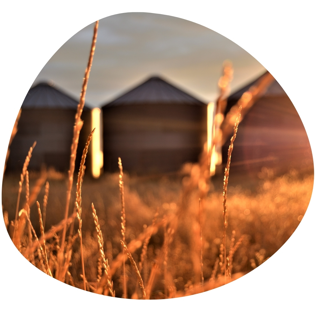 silos at sunset