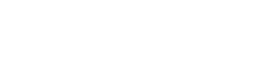 binSight logo - reversed