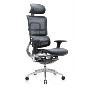 ErgoFlex Ergo Chair